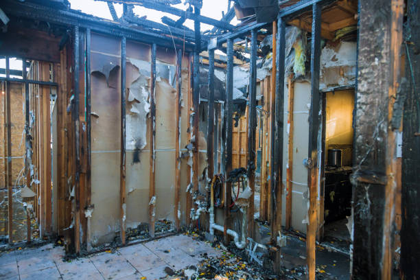Professional Odor Removal technician working in Stokesdale, NC